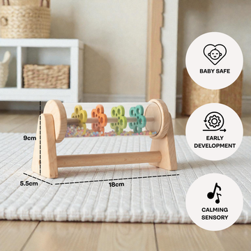 Rainbow Rainmaker Rattle