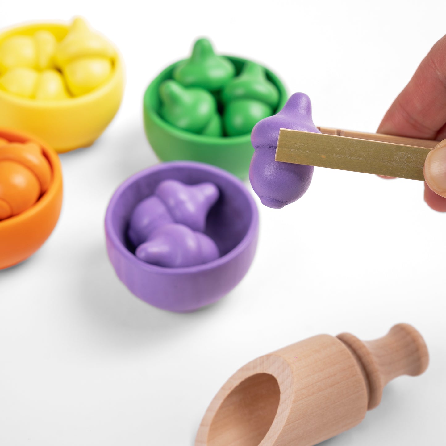 Wooden Colour Matching Kit