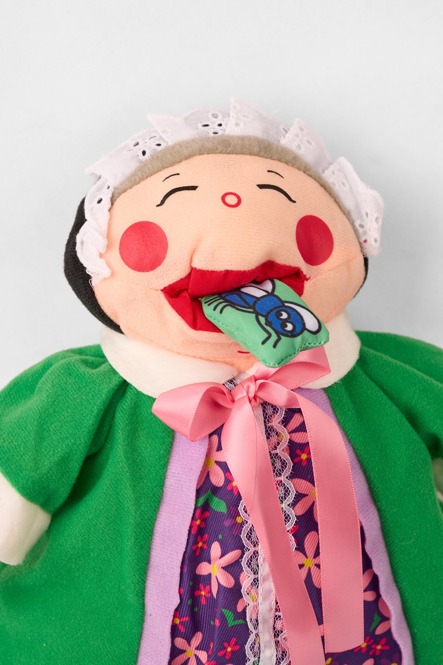 I know an Old Lady Who Swallowed a Fly