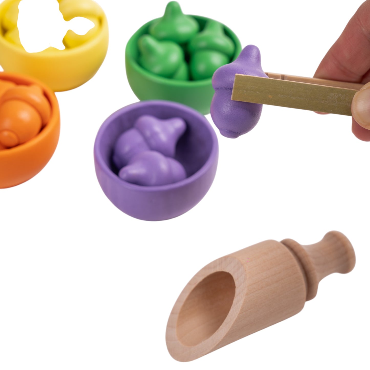 Wooden Colour Matching Set