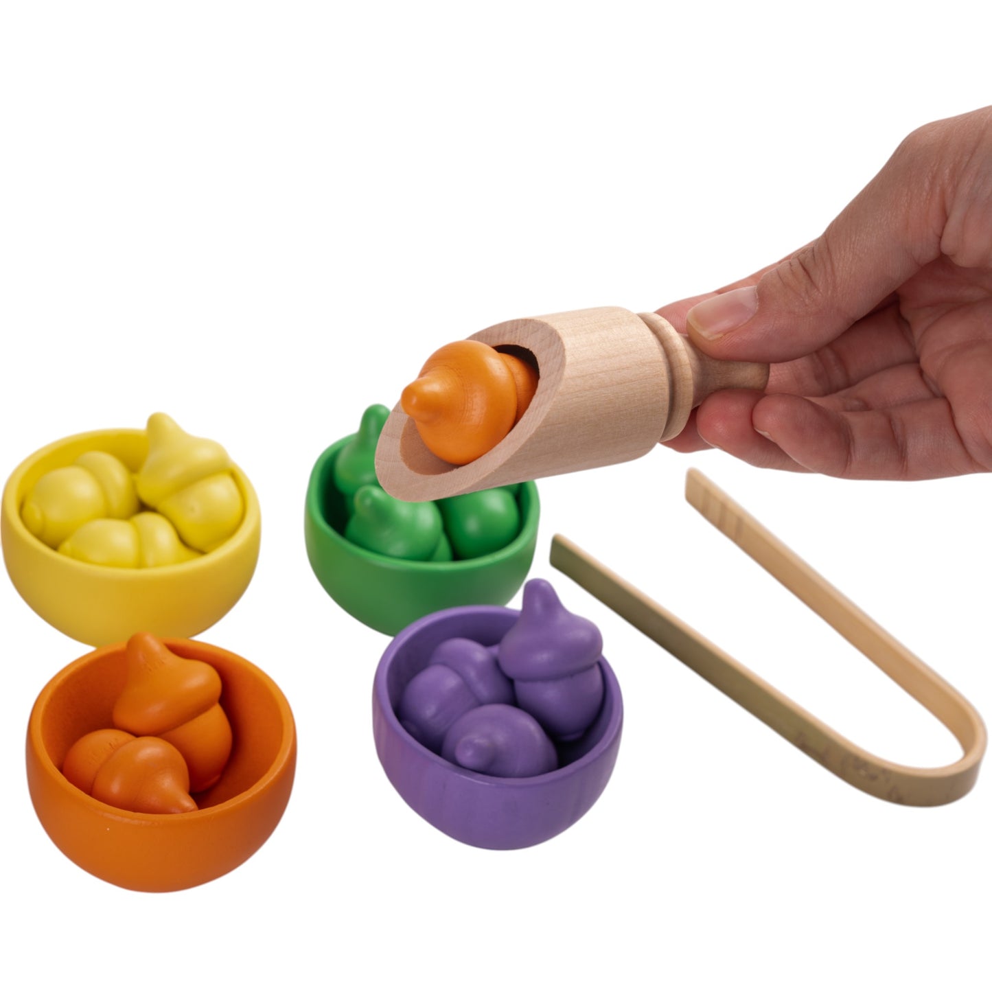Wooden Colour Matching Kit