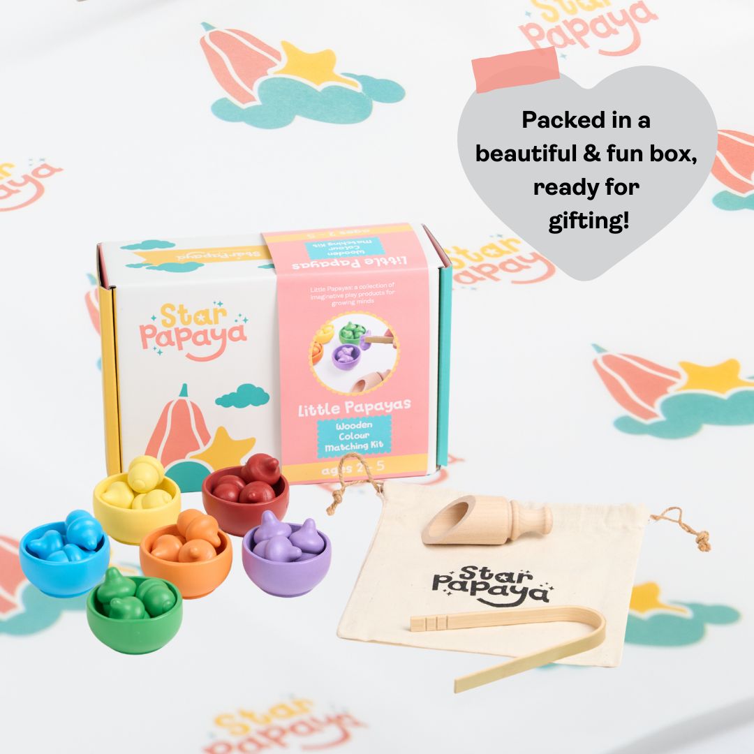 Wooden Colour Matching Set