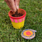 Plantable Diwali Crackers Playset