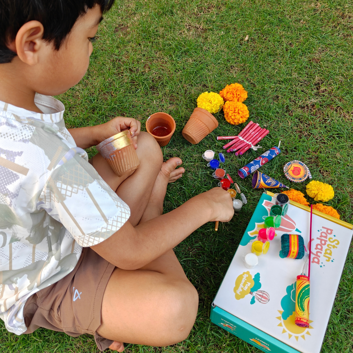 Plantable Diwali Crackers Playset