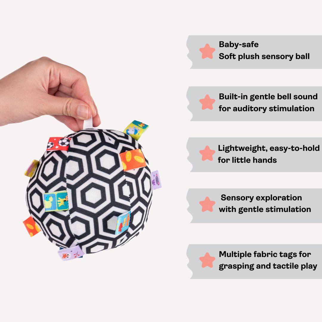 Plush Tag Ball