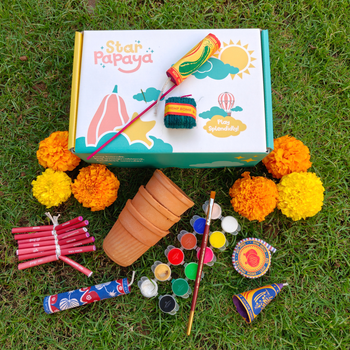 Plantable Diwali Crackers Playset