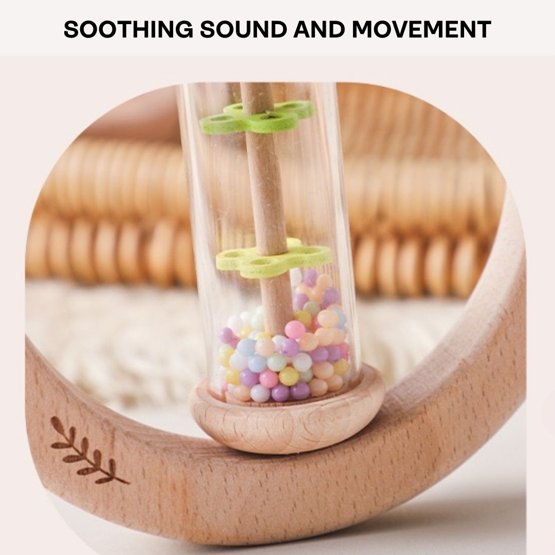 Little Rainmaker Rattle