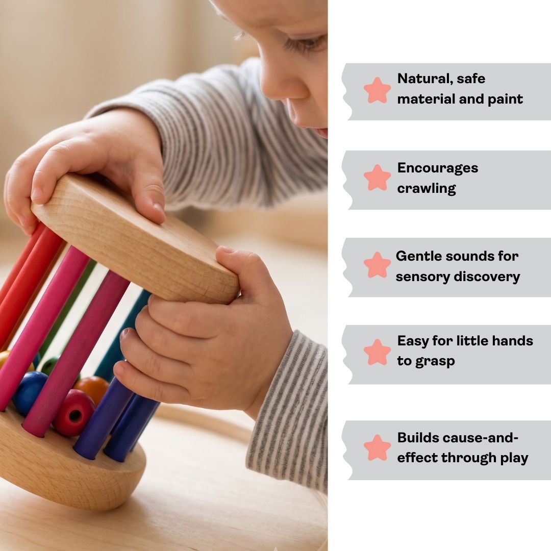 Rainbow Wheel Rattle