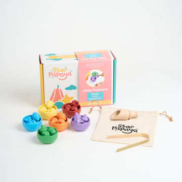 Wooden Colour Matching Kit