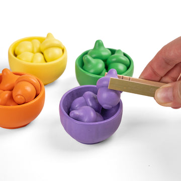 Wooden Colour Matching Kit