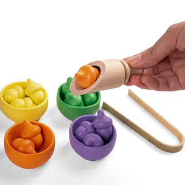 Wooden Colour Matching Kit