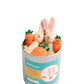 Rabbits in a Dabba