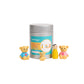 Goldilocks & the Three Bears in a Dabba