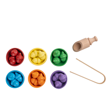Wooden Colour Matching Kit