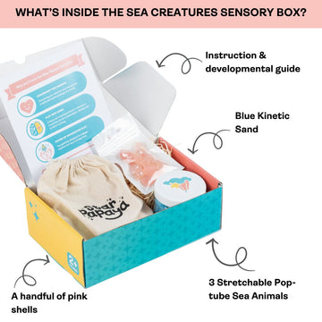 Sea Creatures on the Beach