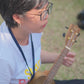 Star Papaya Enchanting Story Adventure @ Festival of Play (2-8 years)